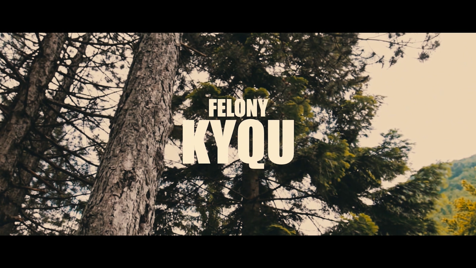 Felony - Kyqu - 1080P