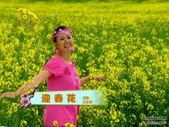 经典歌曲 《迎春花》 卓依