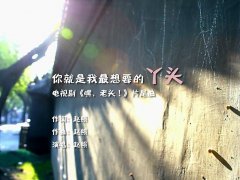 赵照 《你就是我最想要的丫头》 嘿老头电视剧插曲 1080P