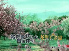 龙梅子/老猫 《姑娘我铁了心跟着你啦》 龙猫组合强势来袭 1080P