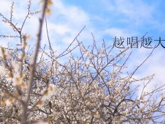 叶怀佩 《越唱越大声》 电视剧春梅主题曲 1080