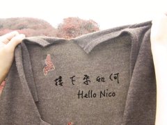 Hello Nico 《接下來如何》 高