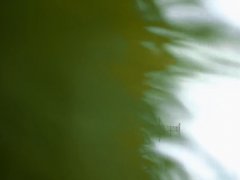 刘瑞琦 《初夏》 校园悬疑网络剧天才插曲 1080P