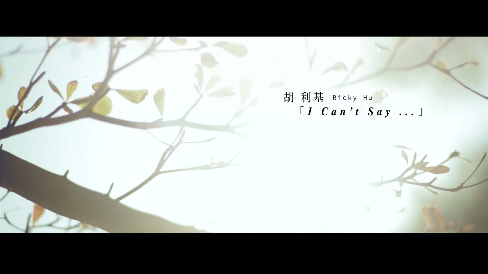 胡利基 《I Can*t Say》 1080P