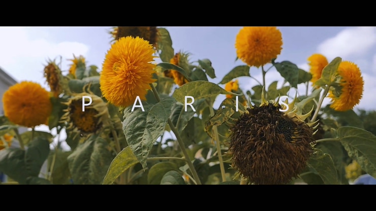 Crucial Star 《Paris》 1080P