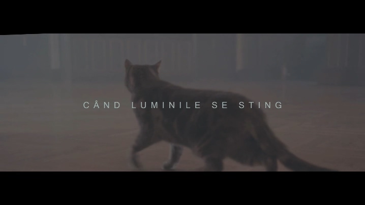 Alina Eremia 《Cand luminile se 