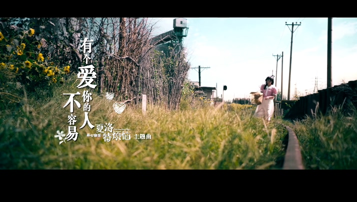 那英 《有个爱你的人不容易》 夏洛特烦恼主题曲 1080P