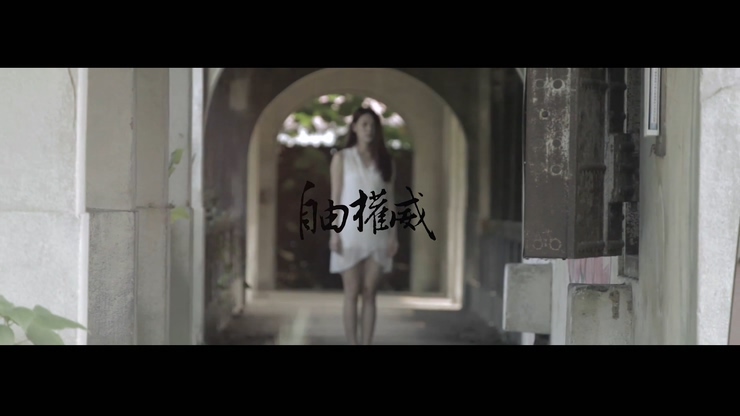 自由权威 《We are not fool》 1080P