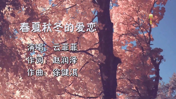 云菲菲 《春夏秋冬的爱恋》 1080P
