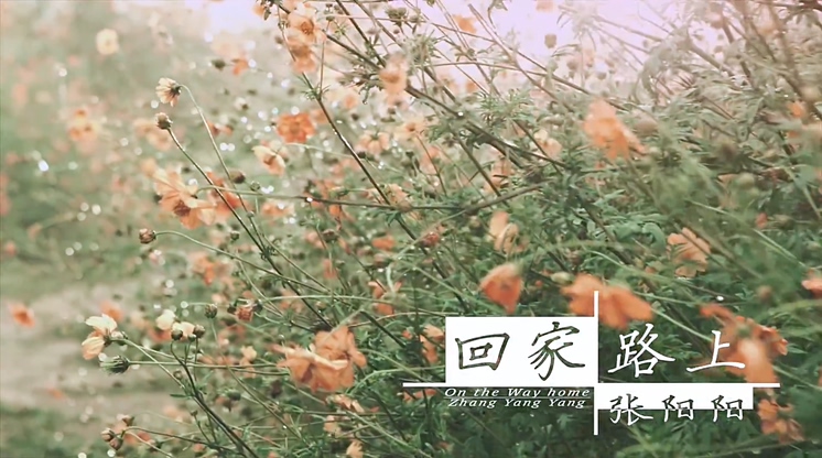 张阳阳 《回家路上》 Official Music Video 1080P