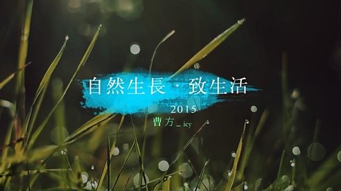 曹方 《自然生长致生活》 720P