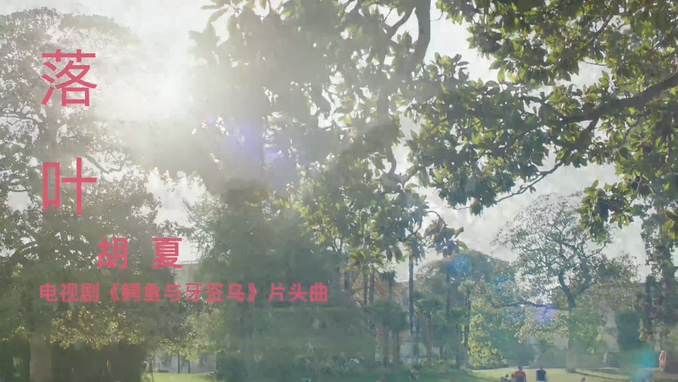 胡夏 《落叶》 1080P