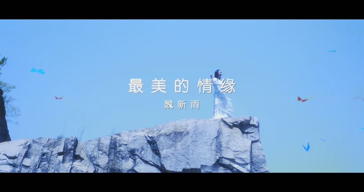 魏新雨 《最美的情缘》 1