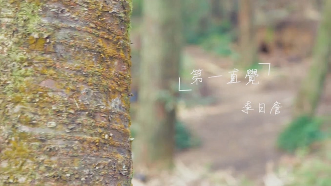 李日詹 《第一直觉》 1080P