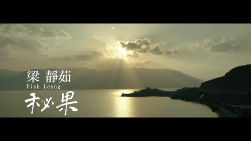 梁静茹 《秘果》 1080P