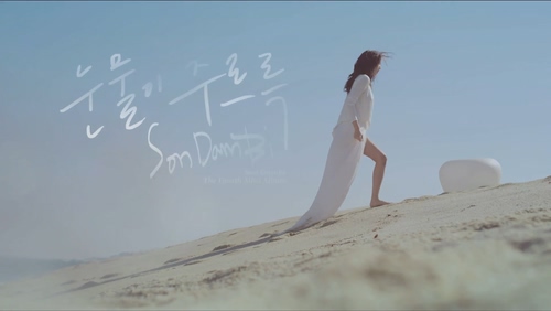 Son Dam Bi 《눈물이 주르륵》 1080P