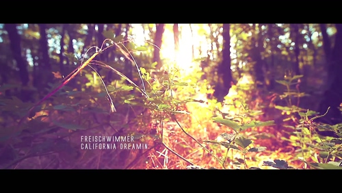 Freischwimmer 《California Dream