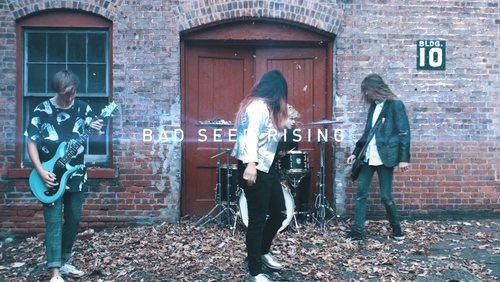 Bad Seed Rising 《Fighting Gravi