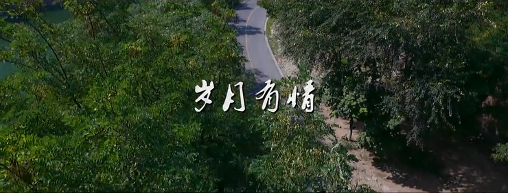 葛林 《岁月有情》 1080P
