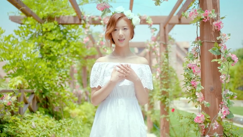 APink 《Secret Garden》 1080P