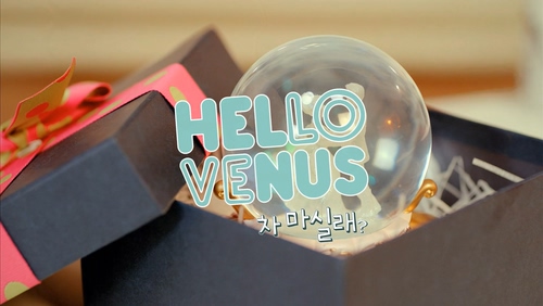 Hello Venus 《要喝茶吗?》 1