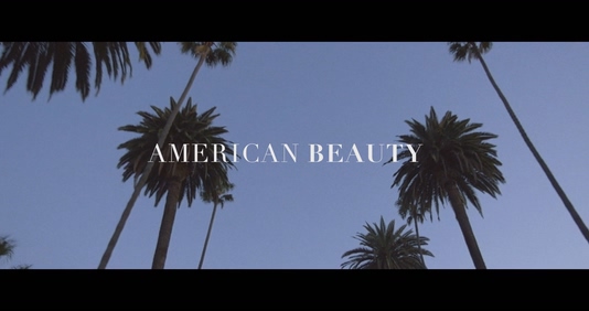American Beauty 《India Lee》 1
