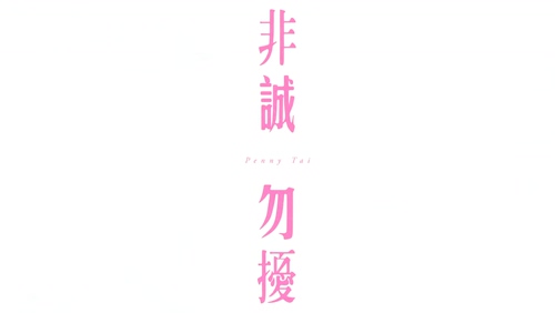 戴佩妮 《非诚勿扰》 1080P
