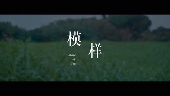 万芳《模样》1080P