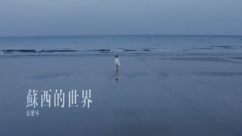 张紫宁《苏西的世界》1080P