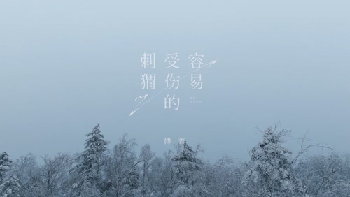 傅菁《容易受伤的刺猬》1080P
