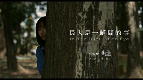 洪安妮《长大是一瞬间的事》10