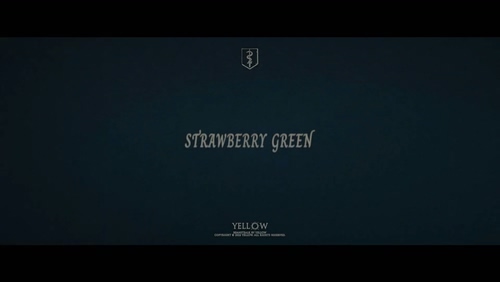 YELLOW黄宣《Strawberry Green》1080P