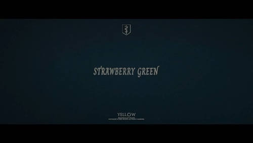 YELLOW黄宣《Strawberry Green》1080P