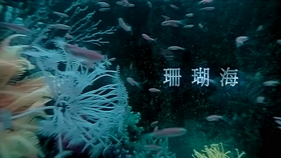 周杰伦 Lara梁心颐《珊瑚海》1080P
