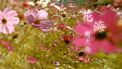 周杰伦《花海》1080P