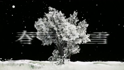周深 Terry Zhong 钟天利《春雪》1080P