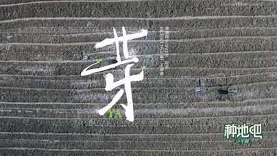 周深《芽》1080P