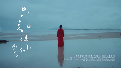 邓小巧《只记住你》1080P